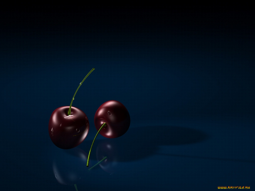 44, , desktop, decor